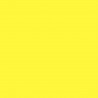 Furniture Designhouse -  Frame Color - Zinc Yellow - RAL 1018