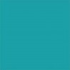 Furniture Designhouse -  Frame Color - Turquoise - RAL 5018