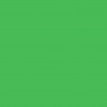 Furniture Designhouse -  Frame Color - Yellow Green - RAL 6018