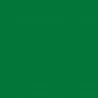 Furniture Designhouse -  Frame Color - Mint Green - RAL 6029 - Furniture Designhouse -  Frame Color - Mint Green - RAL 6029