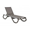Rainbow Outdoor Panama Set of 2 Chaise Loungers-Cappuccino Front