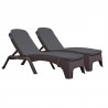Rainbow Outdoor Roma Set of 2 Chaise Lounger Brown Anthracite Cushion