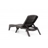 Rainbow Outdoor Roma Set of 2 Chaise Lounger Brown Back