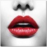J&M Furniture Acrylic Wall Art Red lips | SB-61116  001