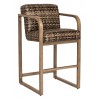 Woodard Reunion Bar Stool with Arms