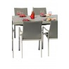 Bellini Home and Garden Ritz Outdoor Dining Set - Close-up