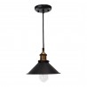 Moe's Home Collection Renata Pendant Lamp - Black - Front Angle