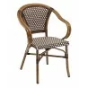 Hand Painted Aluminum Frame Arm Chair W/ PE Weave And Binding Back And Seat - Chocolate - Hand Painted Aluminum Frame Arm Chair W/ PE Weave And Binding Back And Seat - Chocolate
