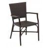 Hand Painted Aluminum Frame Arm Chair - RT-04 - Black