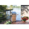 Saber Grills Deluxe Stainless 2-Burner Gas Grill Lake View