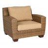 Woodard Saddleback Lounge Chair in Mocha