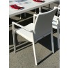 Bellini Home And Garden Ritz Outdoor Dining Chair - Back Angle Closer View