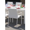 Bellini Home And Garden Ritz Outdoor Dining Chair - Back Angle Close-up