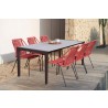 Armen Living Fineline And Clip Indoor Outdoor 7 Piece Dining Set In Dark Eucalyptus Wood With Superstone And Rope In Gray