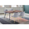 Armen Living Messina Velvet 5 Piece Rectangular Dining Set- Gray Chair