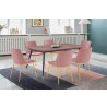 Armen Living Messina Velvet 7 Piece Rectangular Dining Set- Pink