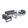 Armen Living Aelani Outdoor 4 piece Set in Dark Grey Finish and Charcoal Cushions- Set