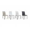 B-Modern Social Dining Chair - Collection  - B-Modern Social Dining Chair - Collection 