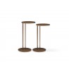 Whiteline Modern Living Nala Large Side Tables in Bronze Metal Top and Base - With Small