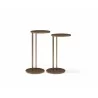 Whiteline Modern Living Nala Large Side Tables in Bronze Metal Top and Base - With Small - Whiteline Modern Living Nala Large Side Tables in Bronze Metal Top and Base - With Small
