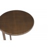 Whiteline Modern Living Nala Large Side Tables in Bronze Metal Top and Base - Tabletop Details