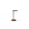 Whiteline Modern Living Nala Small Side Tables in Bronze Metal Top and Base - Front