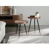Whiteline Modern Living Meli Large Side Table In Walnut Veneer Top with Rose Gold Frame - Lifestyle - Whiteline Modern Living Meli Large Side Table In Walnut Veneer Top with Rose Gold Frame - Lifestyle