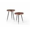 Whiteline Modern Living Meli Large Side Table In Walnut Veneer Top with Rose Gold Frame - Large and Small - Whiteline Modern Living Meli Large Side Table In Walnut Veneer Top with Rose Gold Frame - Large and Small