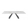 J&M Furniture Swan Extension Table 001