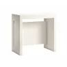 ERIKA Console Table In White Wood Grain Melamine - Angled View - ERIKA Console Table In White Wood Grain Melamine - Angled View