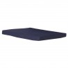 Blue Cushion