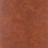 Color Patch: Brown