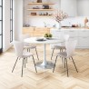 Thibideaux Dining Chair (Set of 2) in Ivory- Lifestyle 1