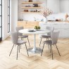 Thibideaux Dining Chair (Set of 2) in Light Grey- Lifestyle 1