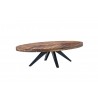 Parq Oval Coffee Table - Top View Angle