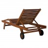 Multi-position Chaise Lounger - Back