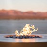 The Outdoor Plus 46" Round Outback Fire