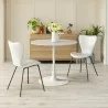 Dining Chair in White- Lifestyle 1 - Dining Chair in White- Lifestyle 1