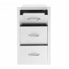 Summerset Grills 17" Vertical 2-Drawer and Paper Towel Holder Combo - Front with Drawers Opened - Summerset Grills 17" Vertical 2-Drawer and Paper Towel Holder Combo - Front with Drawers Opened