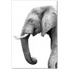 J&M Furniture Acrylic Wall Art Tusk | SB-61131  001