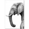 J&M Furniture Acrylic Wall Art Tusk | SB-61131  001 - J&M Furniture Acrylic Wall Art Tusk | SB-61131  001
