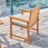 Vifah Waimea Honey Slatted Patio Eucalyptus Wood Dining Armchair with Cushion, Back Angle - Vifah Waimea Honey Slatted Patio Eucalyptus Wood Dining Armchair with Cushion, Back Angle