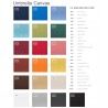 Canvas Color Options