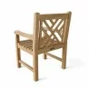 Vilano Dining Armchair- back view - Vilano Dining Armchair- back view