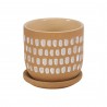 Moe's Home Collection Botanical Planter Natural in 5.75IN - Front Angle