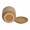 Moe's Home Collection Botanical Planter Natural in 5.75IN - Base Angle with Drainage - Moe's Home Collection Botanical Planter Natural in 5.75IN - Base Angle with Drainage