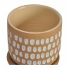 Moe's Home Collection Botanical Planter Natural in 5.75IN - Front Top Angle