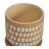 Moe's Home Collection Botanical Planter Natural in 5.75IN - Front Top Angle - Moe's Home Collection Botanical Planter Natural in 5.75IN - Front Top Angle