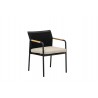 Alfresco Home Elle Belt Dining Armchair w/ Teak Arm Rests | Cushion Inclusive - Front Side Angle