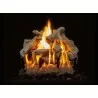 18" Western Driftwood See Through 7 Pc Set- Logs Only - 18" Western Driftwood See Through 7 Pc Set- Logs Only